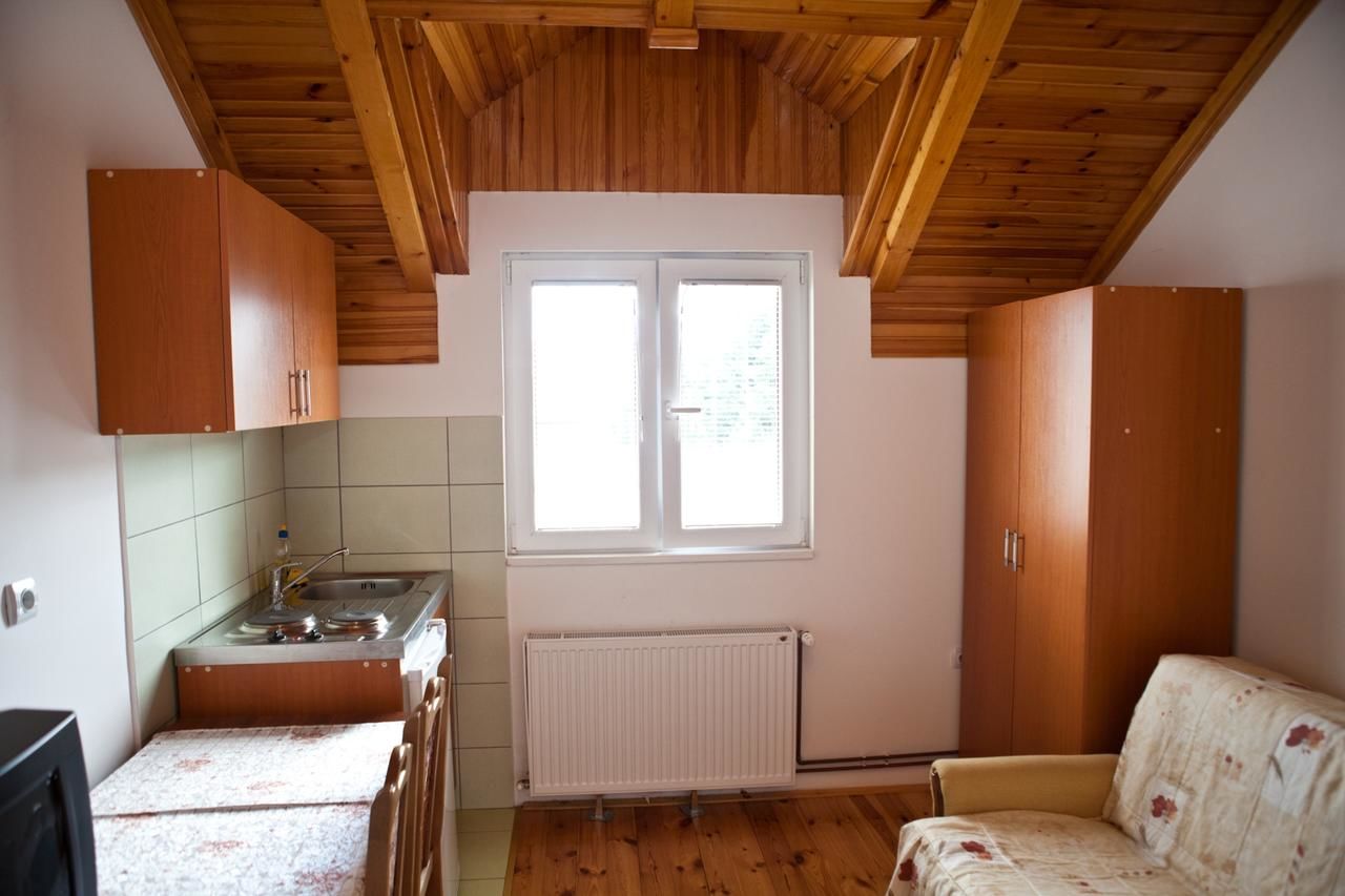 Отель Hotel Pavlović Жабляк-40