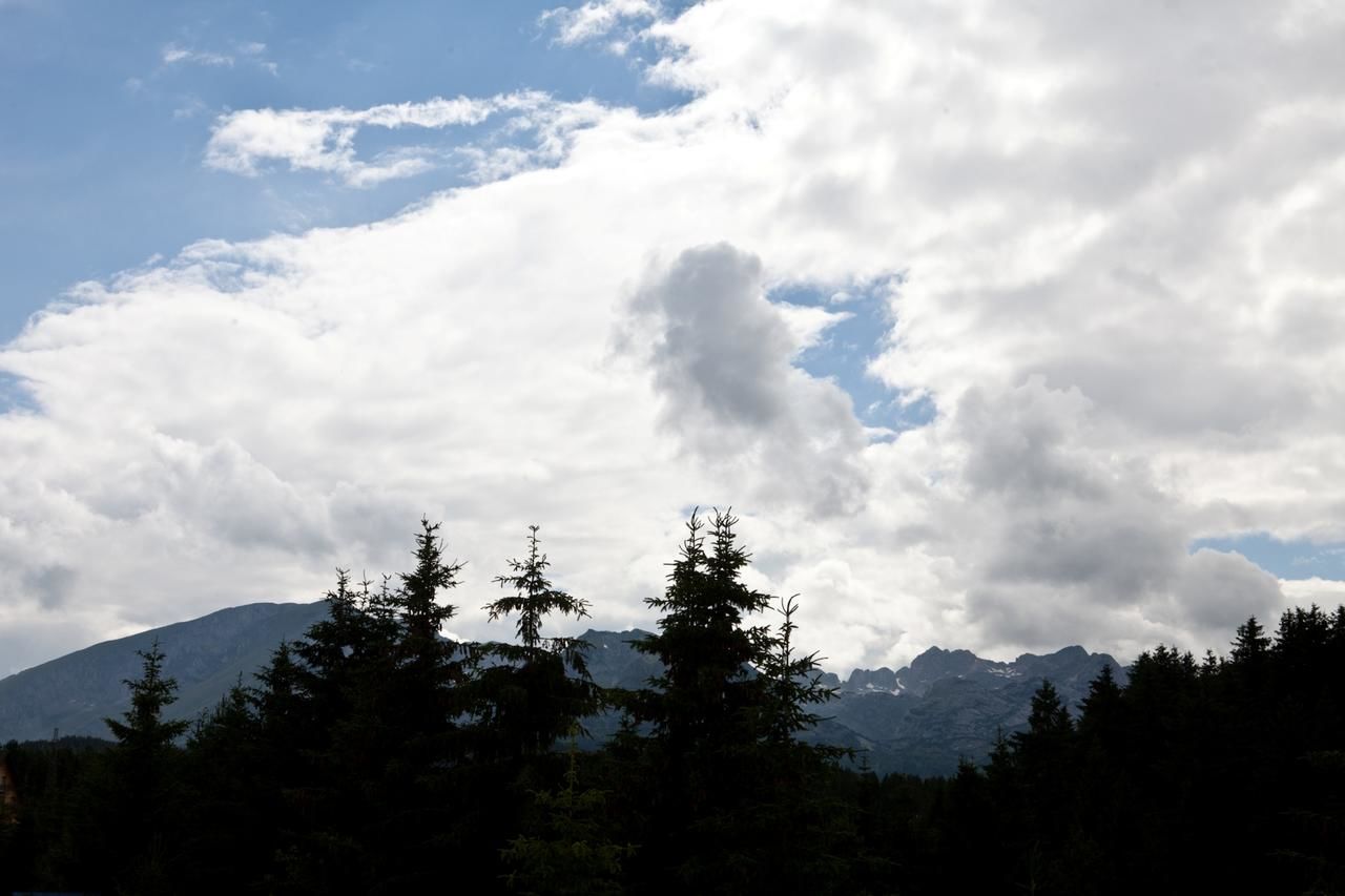 Отель Hotel Pavlović Жабляк-41