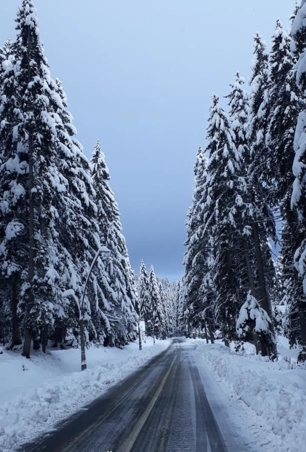 Отель Hotel Pavlović Жабляк
