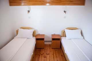 Отель Hotel Pavlović Жабляк Стандартный двухместный номер с 1 кроватью или 2 отдельными кроватями-6