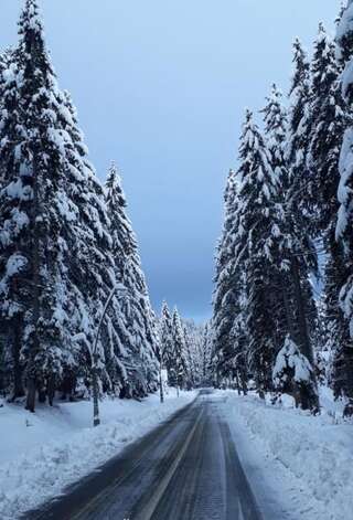 Отель Hotel Pavlović Жабляк Стандартные апартаменты-2