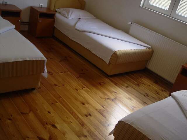 Отель Hotel Pavlović Жабляк-16